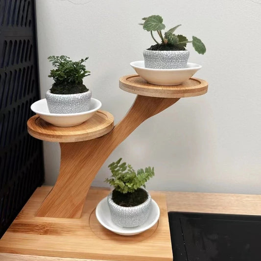 Bamboo Stand,Bamboo Shelf for Home/Office, Compact Design,Perfect for Home and Office Desktop and Balcony Decor