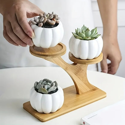Bamboo Stand,Bamboo Shelf for Home/Office, Compact Design,Perfect for Home and Office Desktop and Balcony Decor